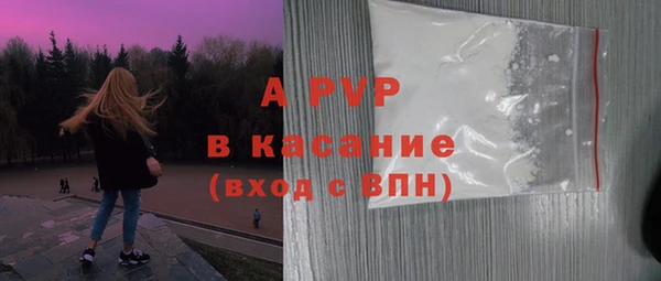 apvp Богородицк