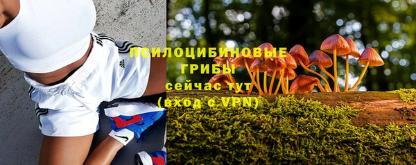 синтетический гашиш Михайлов