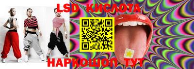 прущие крисы Гатчина