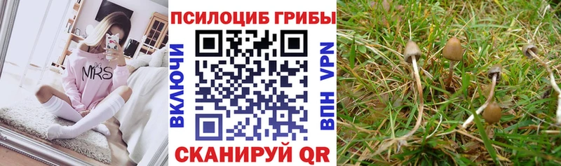Галлюциногенные грибы GOLDEN TEACHER Фролово