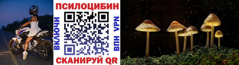 Галлюциногенные грибы GOLDEN TEACHER  Фролово 