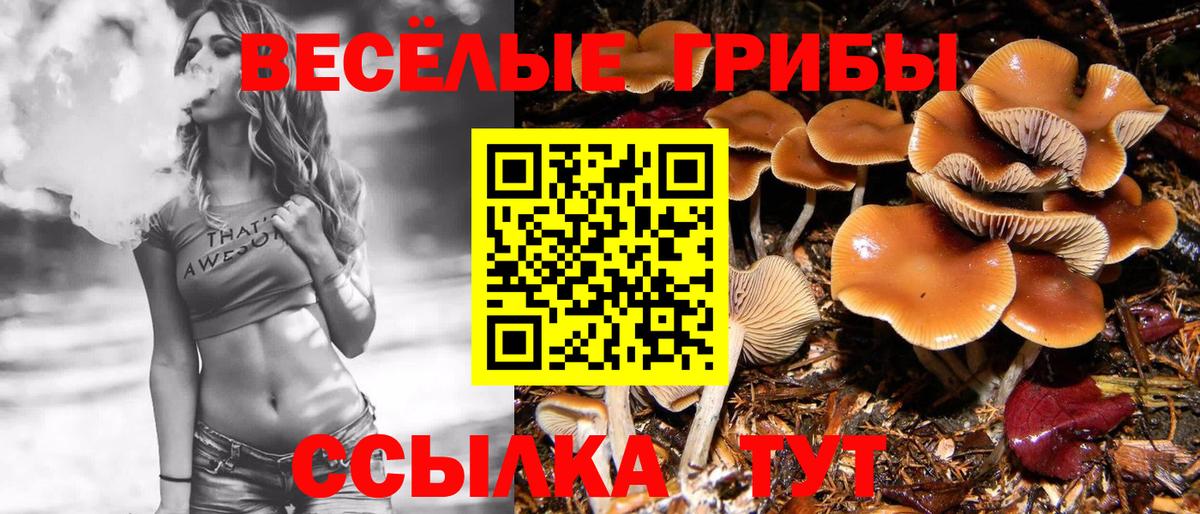 где купить наркотик  Галлюциногенные грибы Psilocybine cubensis  Вход с VPN  Фролово 
